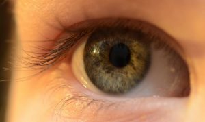 Accent Eye Care Orthokeratology: Correcting Corneal Refractive Errors  