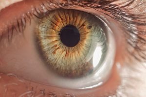 Accent Eye Care macro-eye-PTTA82T  