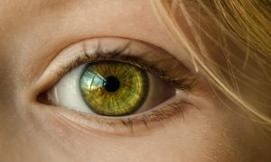 Accent Eye Care Eye Care  